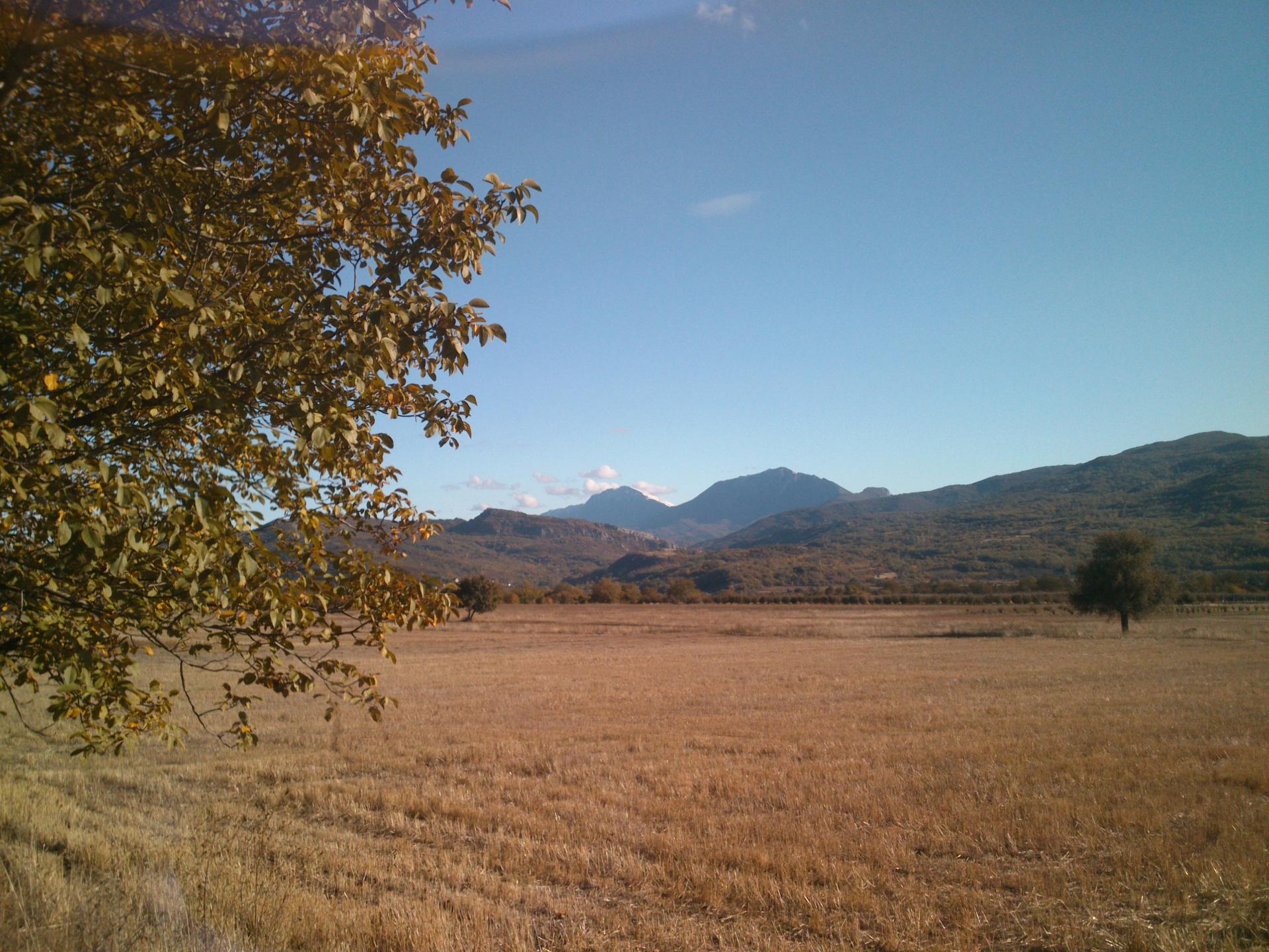 Naziv: DSC_2348.jpg, pregleda: 174, veličina: 383,7 KB