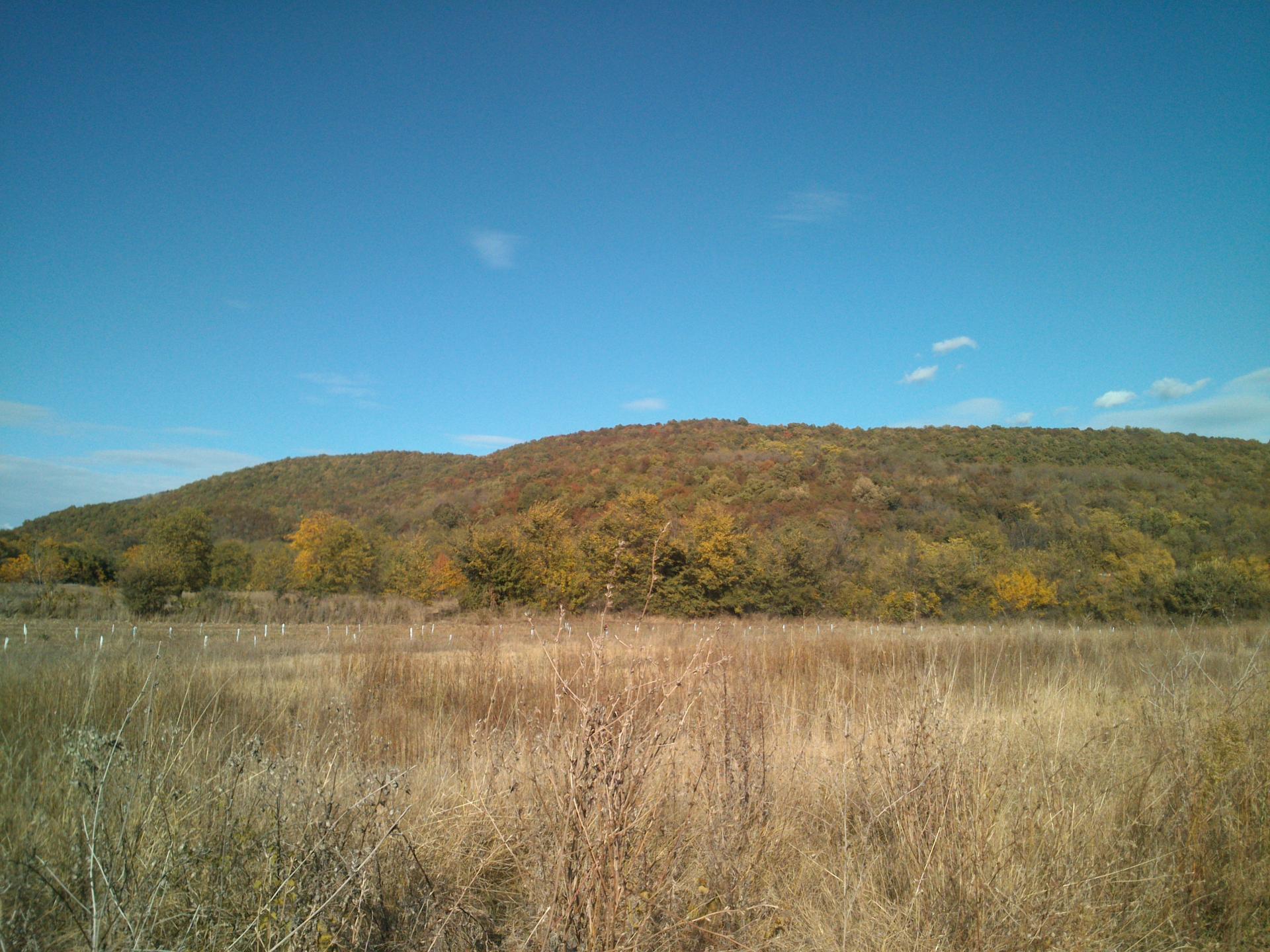 Naziv: DSC_2349.jpg, pregleda: 177, veličina: 376,2 KB