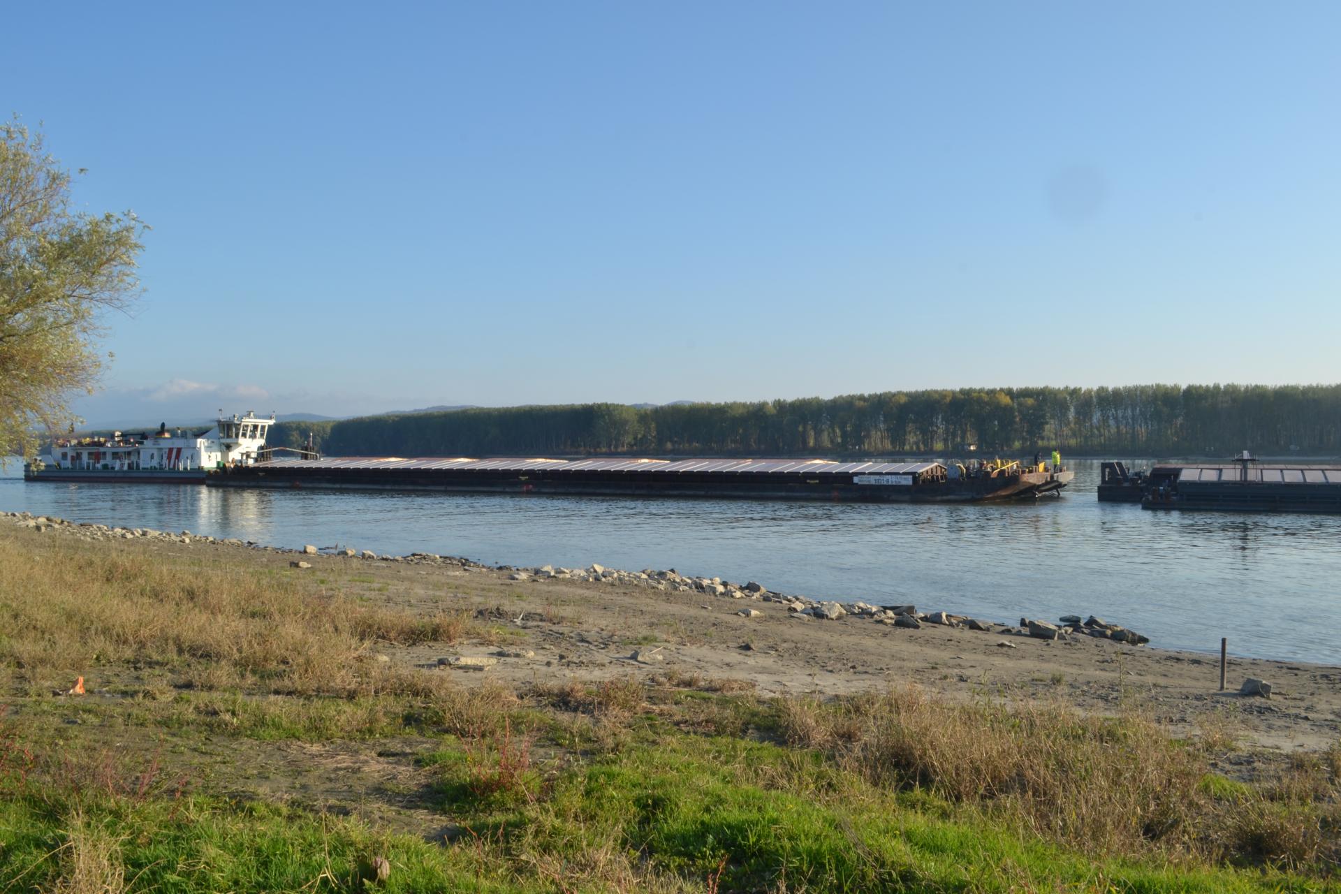 Naziv: DSC_0438.jpg, pregleda: 254, veličina: 292,4 KB