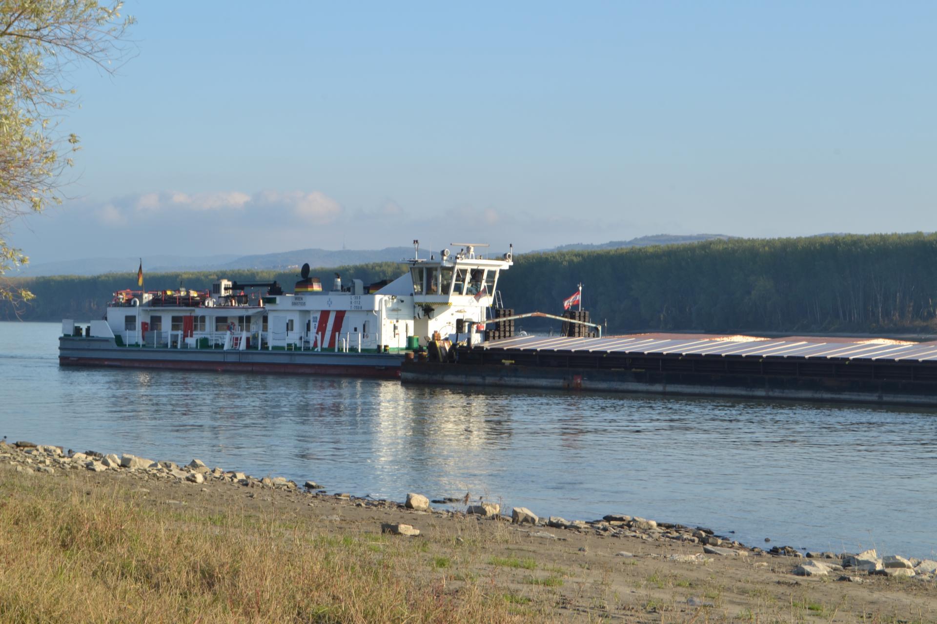 Naziv: DSC_0446.jpg, pregleda: 247, veličina: 254,1 KB