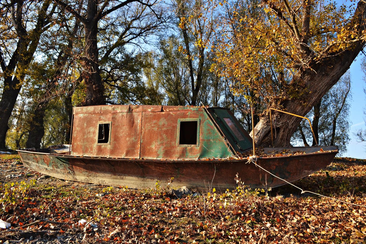 Naziv: DSC_0435 ....jpg, pregleda: 242, veličina: 525,8 KB