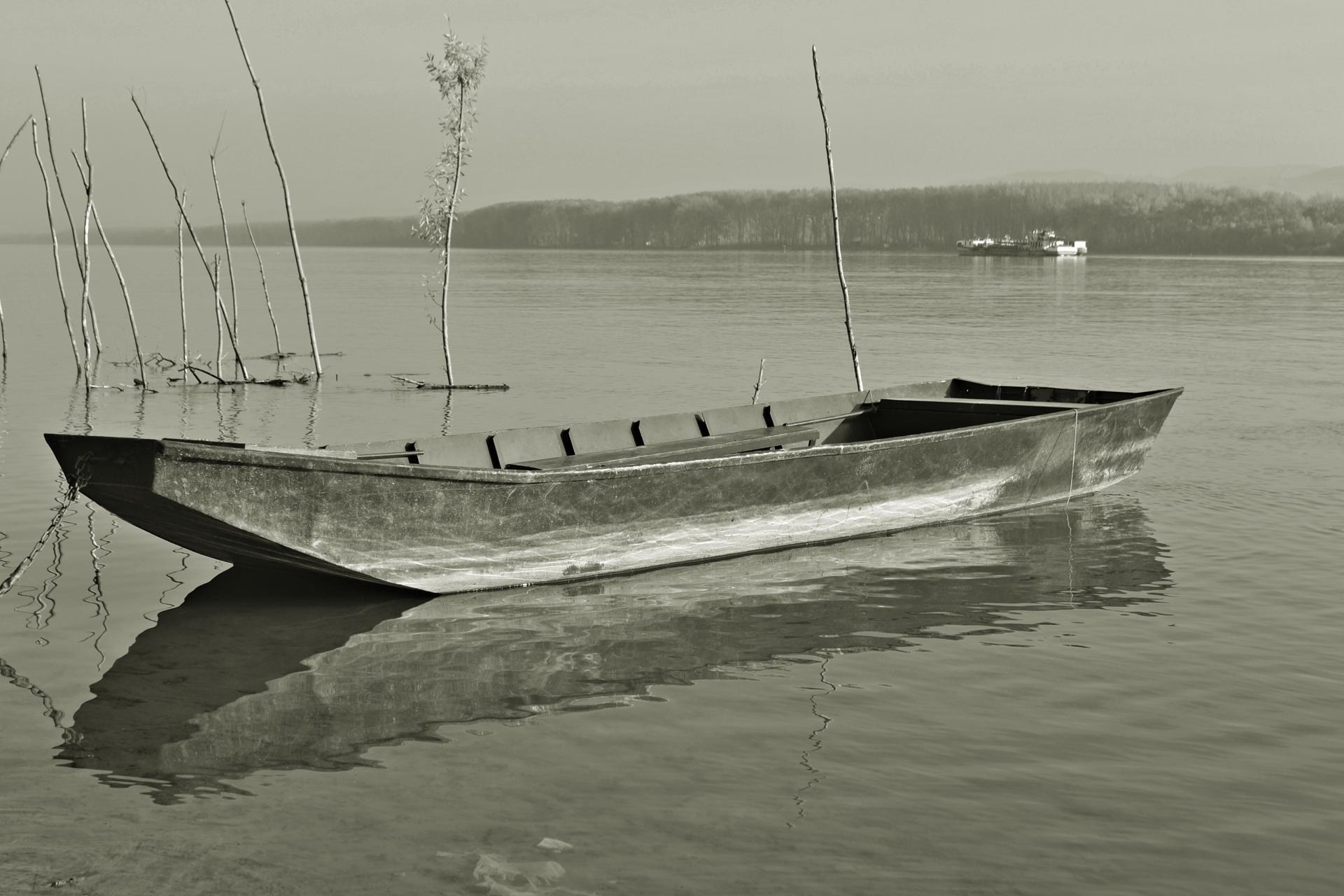 Naziv: DSC_0434 ....jpg, pregleda: 179, veličina: 216,1 KB