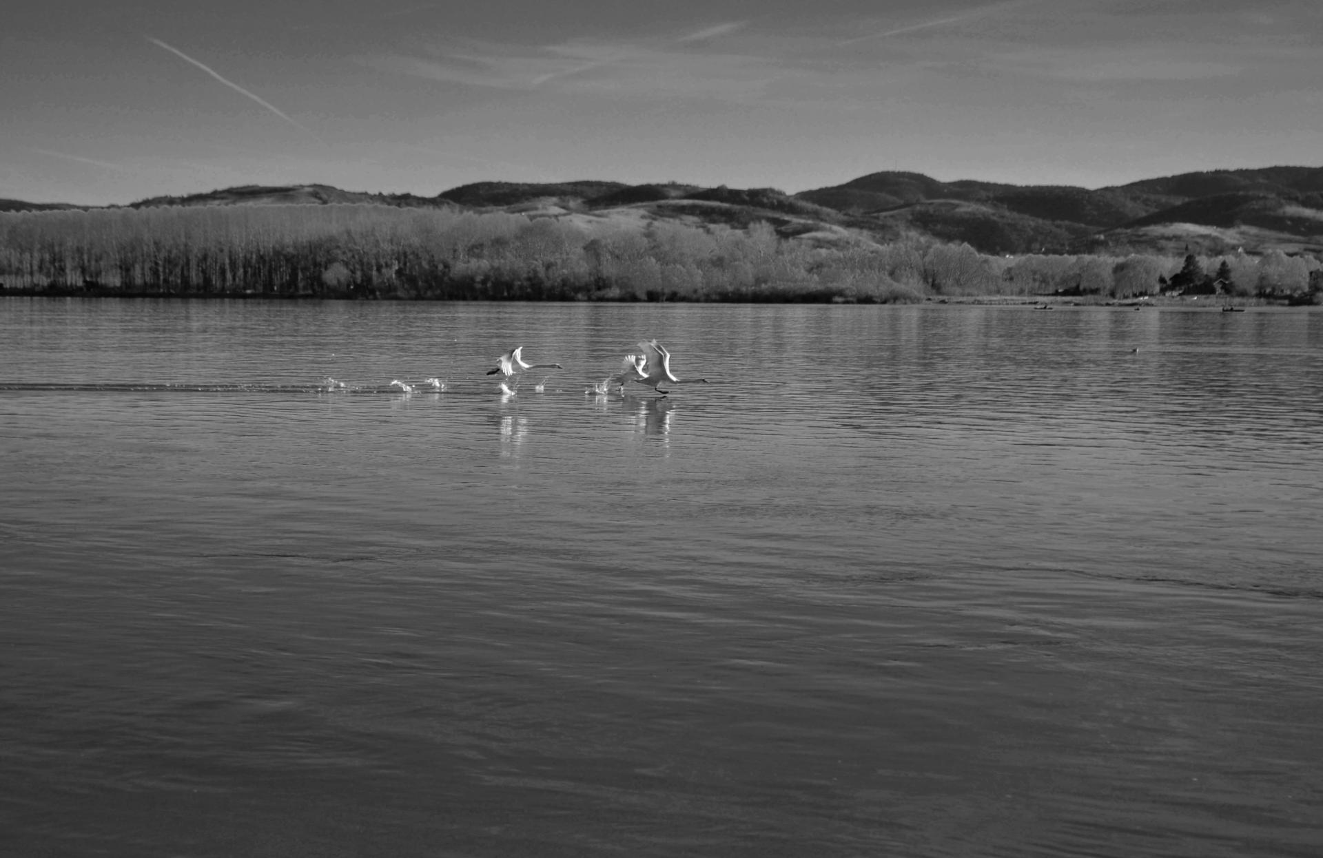 Naziv: DSC_0490 ...,.jpg, pregleda: 149, veličina: 196,8 KB