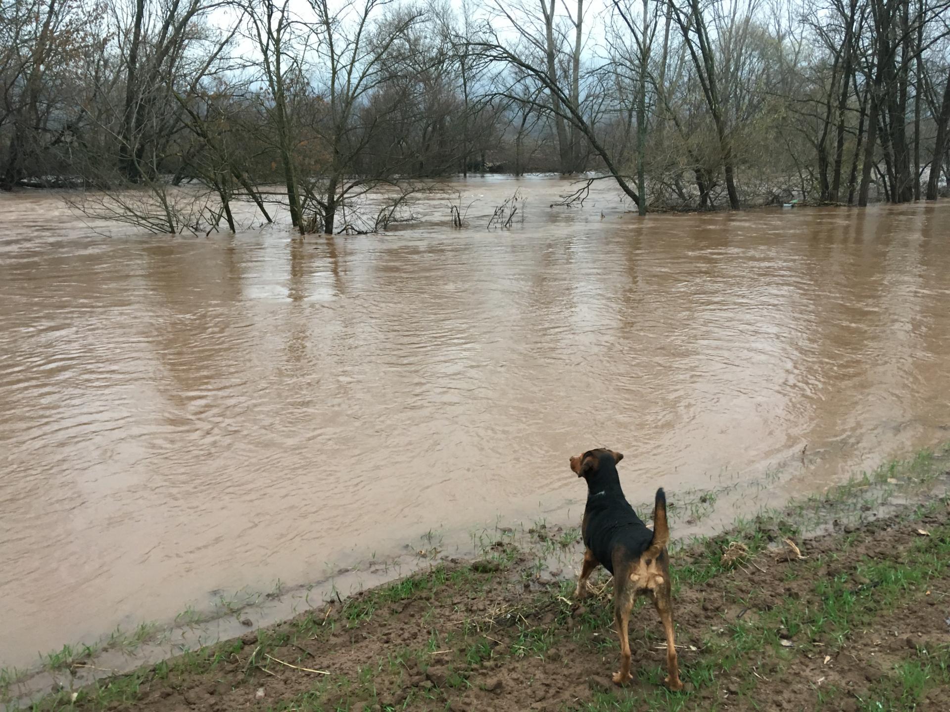 Naziv: IMG_0286.jpg, pregleda: 185, veličina: 457,7 KB