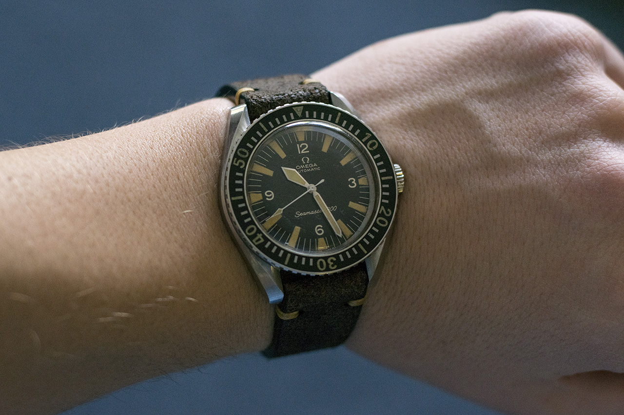 Naziv: DSC_0146.jpg, pregleda: 239, veličina: 393,9 KB