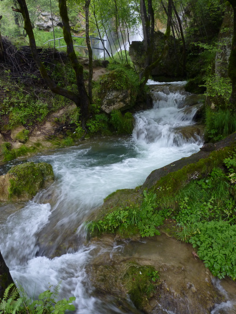 Naziv: P1240687.JPG, pregleda: 180, veličina: 383,0 KB