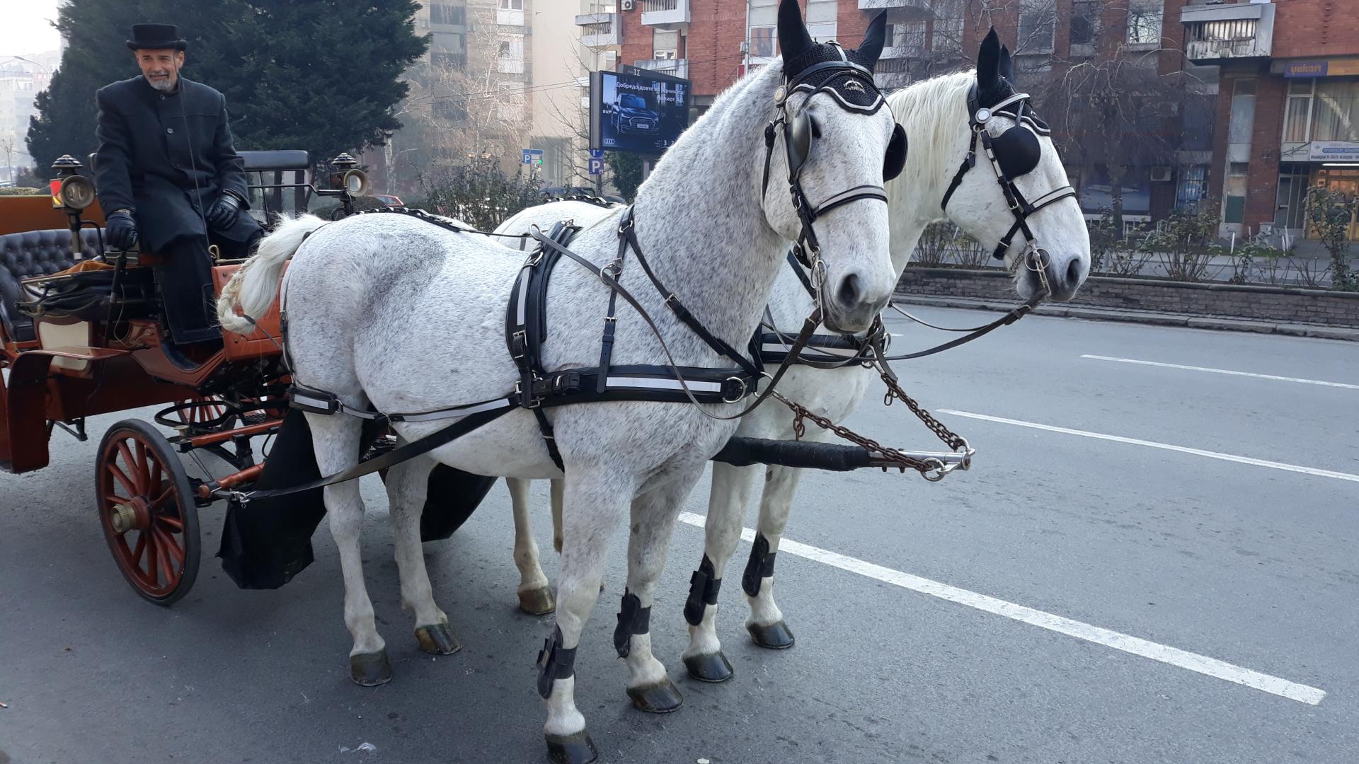 Naziv: 20180106_114355.jpg, pregleda: 170, veličina: 320,1 KB