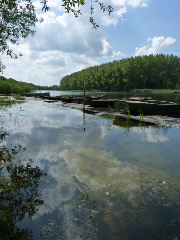 Naziv: P1020939.JPG, pregleda: 159, veličina: 192,3 KB