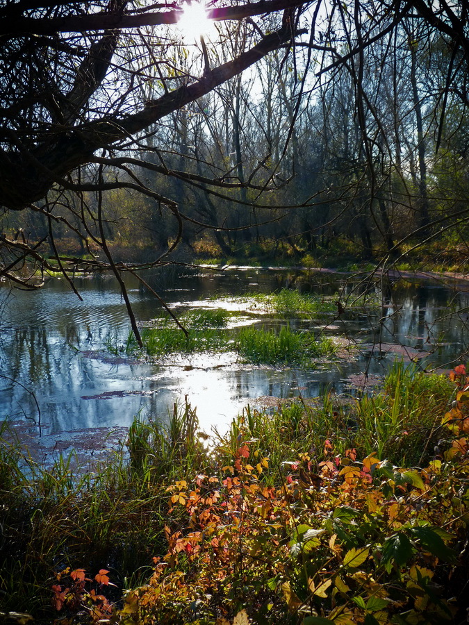 Naziv: P1060554_popravka-2.jpg, pregleda: 161, veličina: 436,3 KB