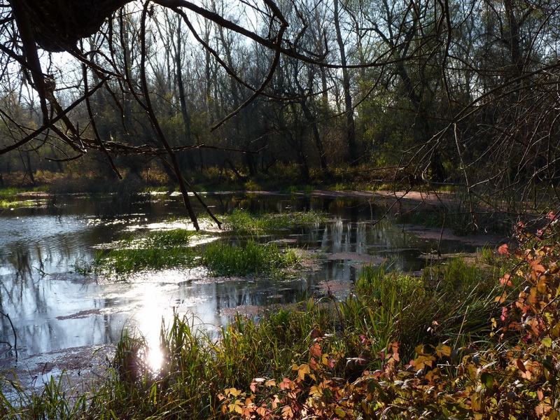 Naziv: P1060558.JPG, pregleda: 152, veličina: 328,8 KB