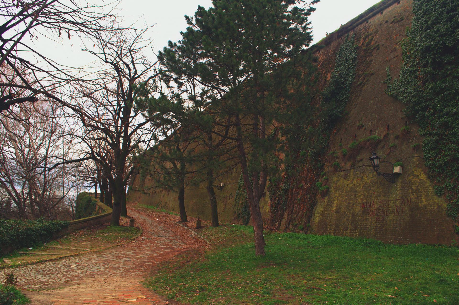 Naziv: DSC_0645 ....jpg, pregleda: 197, veličina: 485,3 KB