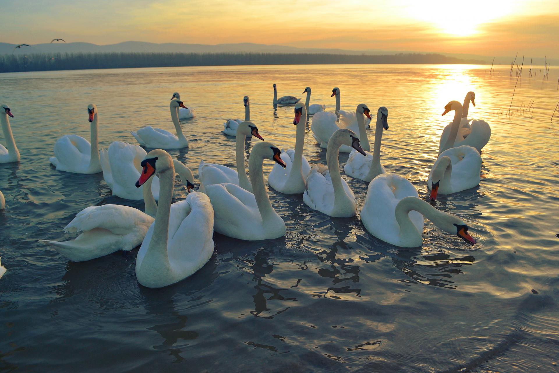 Naziv: DSC_0735 ....jpg, pregleda: 168, veličina: 283,6 KB