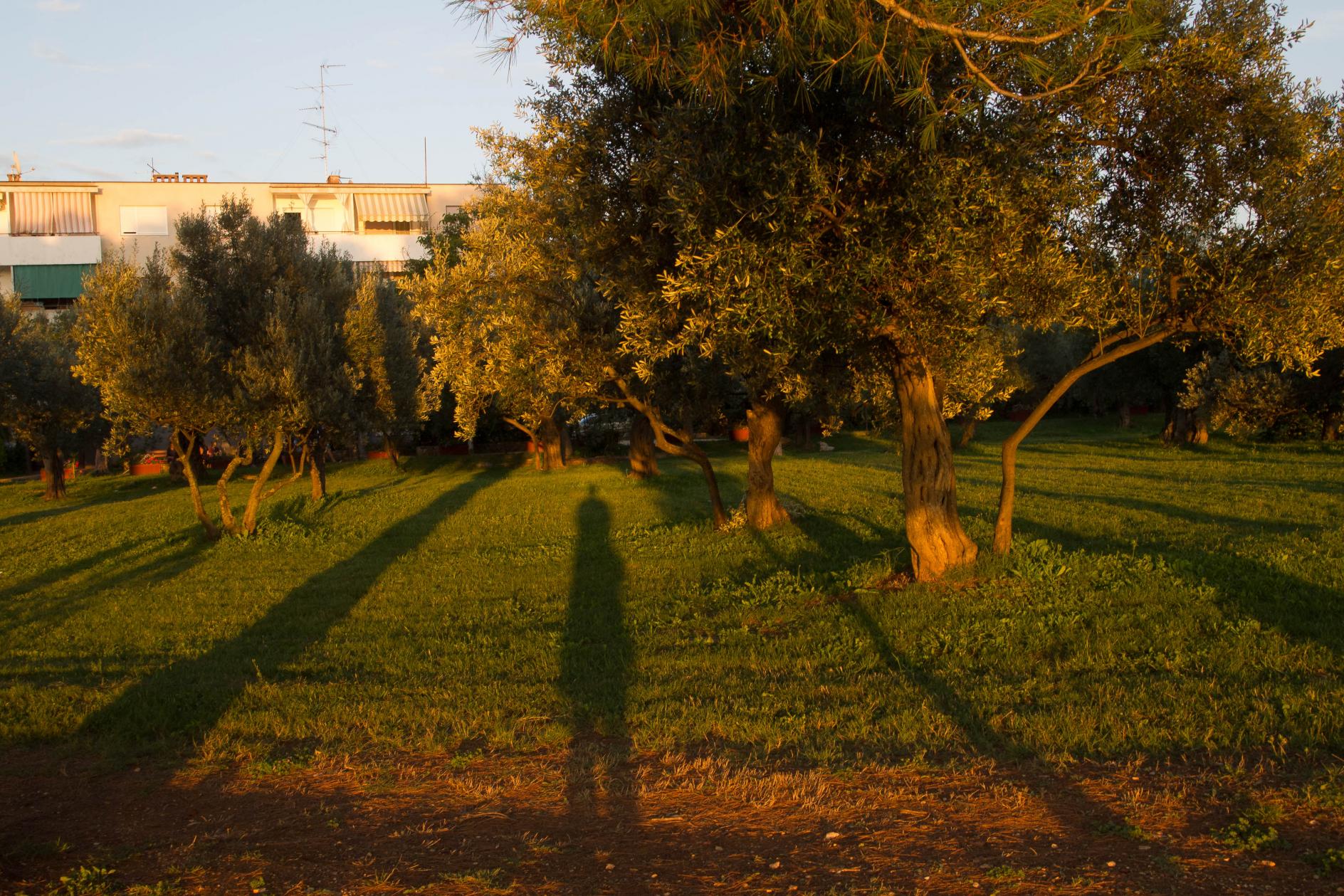 Kliknite za sliku za veću verziju

Ime:	P8016671.jpg
Viđeno:	148
Veličina:	490,5 KB
ID:	135117