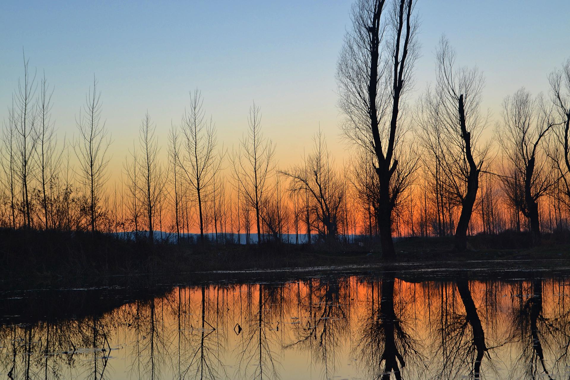 Naziv: DSC_0491 ....jpg, pregleda: 103, veličina: 484,9 KB