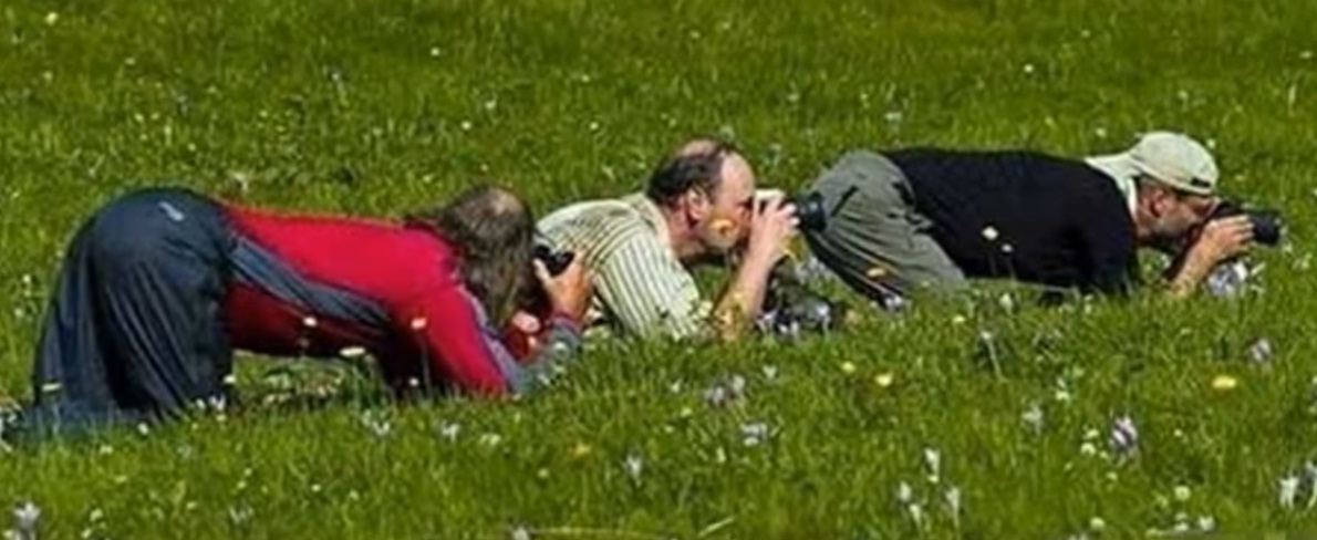 Naziv: jgv.jpg, pregleda: 178, veličina: 144,3 KB