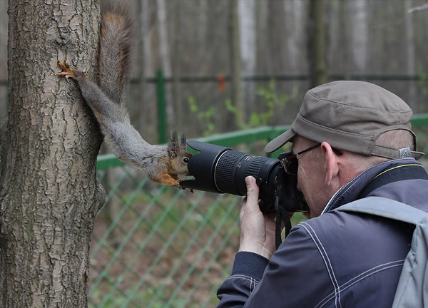 Naziv: squirrel-photographer.jpg, pregleda: 143, veličina: 58,2 KB