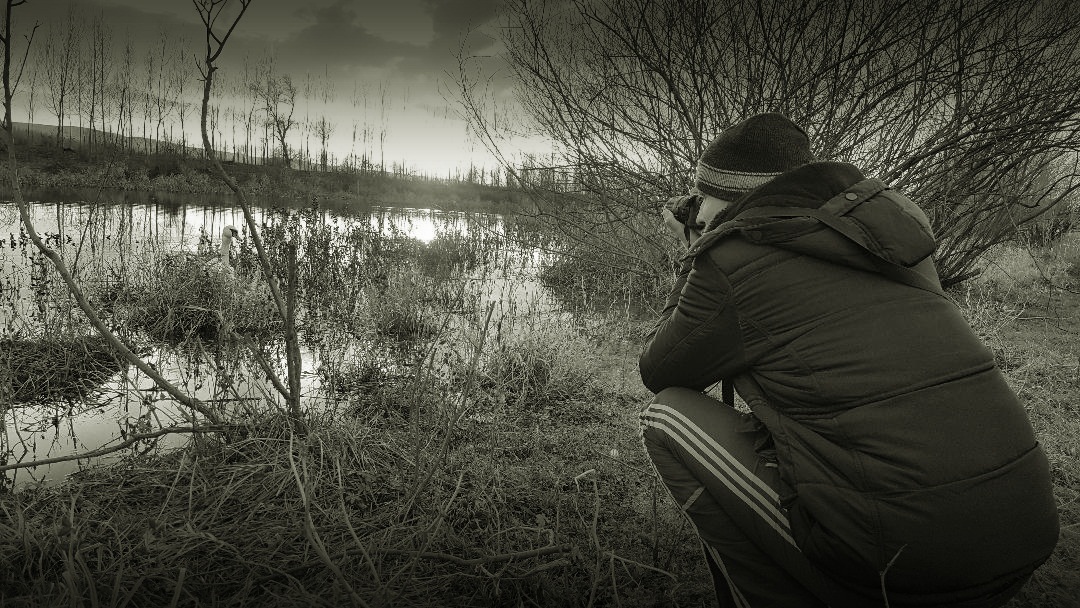 Naziv: hfcj ...,.jpg, pregleda: 170, veličina: 346,8 KB