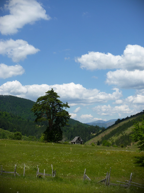 Naziv: P1260924.JPG, pregleda: 244, veličina: 159,8 KB