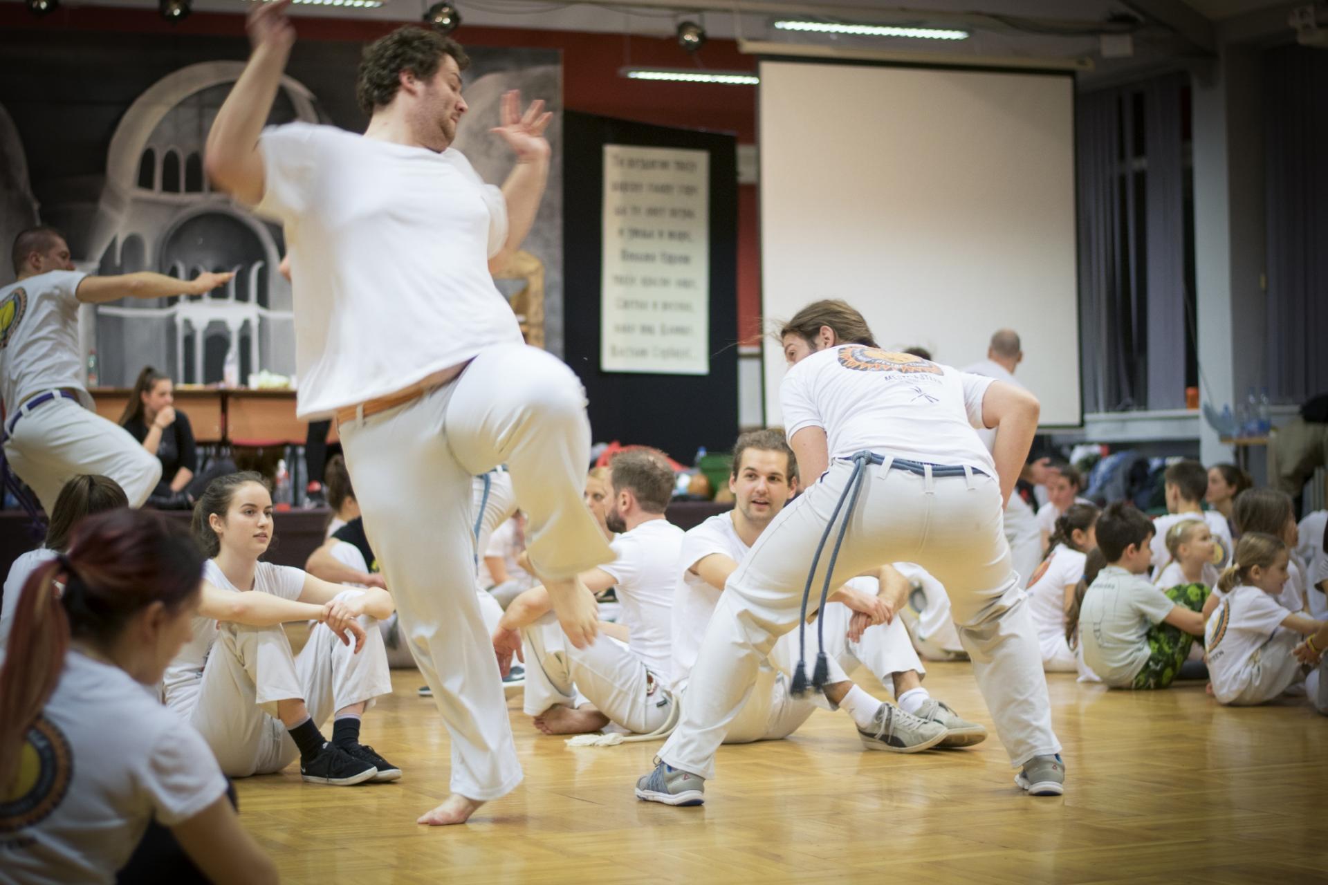 Naziv: DSC_8984.jpg, pregleda: 225, veličina: 202,9 KB