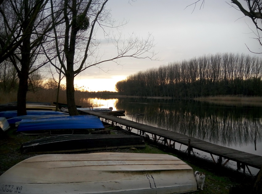 Naziv: P80404-182209_1.jpg, pregleda: 125, veličina: 210,3 KB