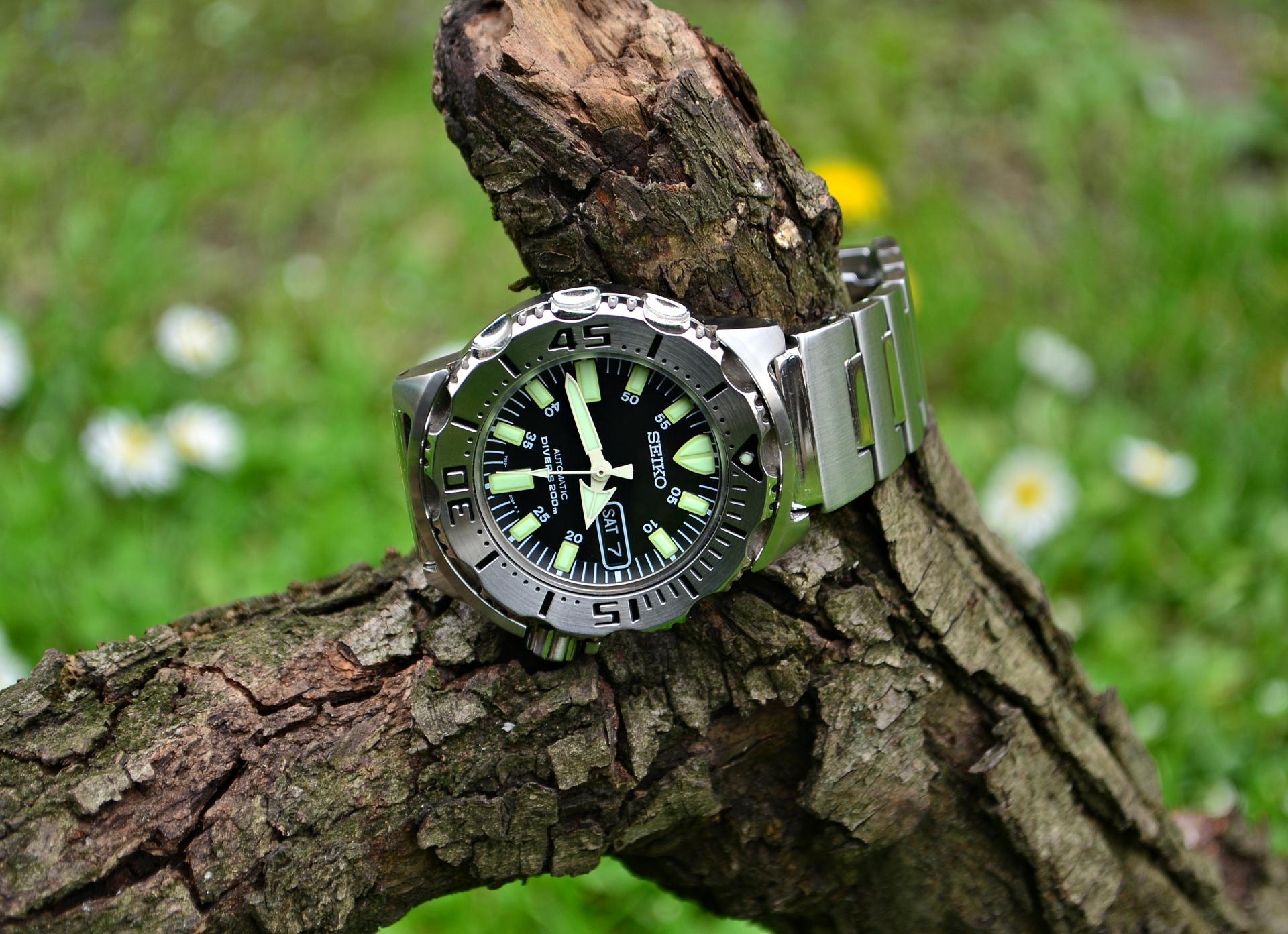 Naziv: DSC_0464 ....jpg, pregleda: 273, veličina: 336,2 KB