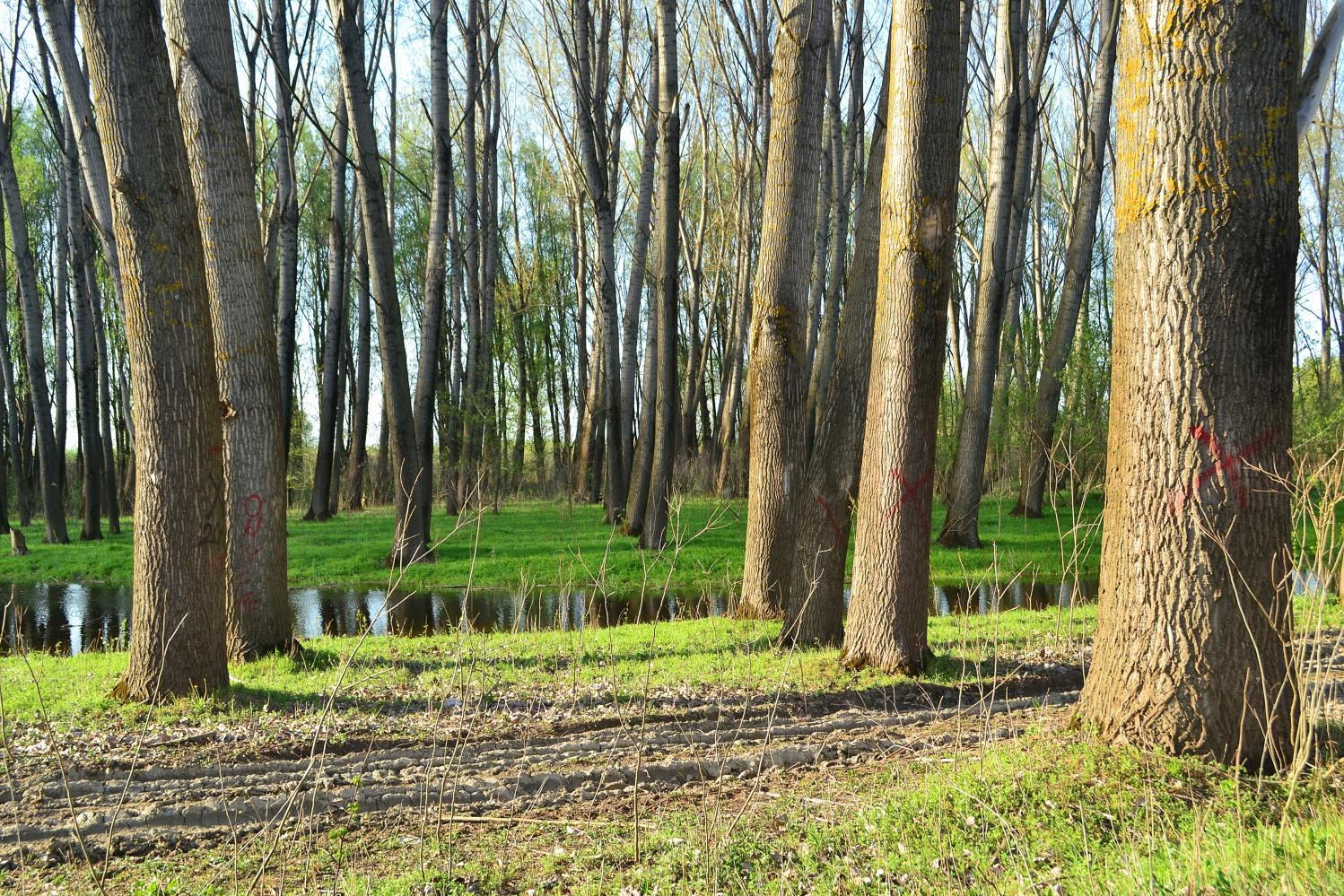 Naziv: DSC_0539 ....jpg, pregleda: 130, veličina: 514,7 KB