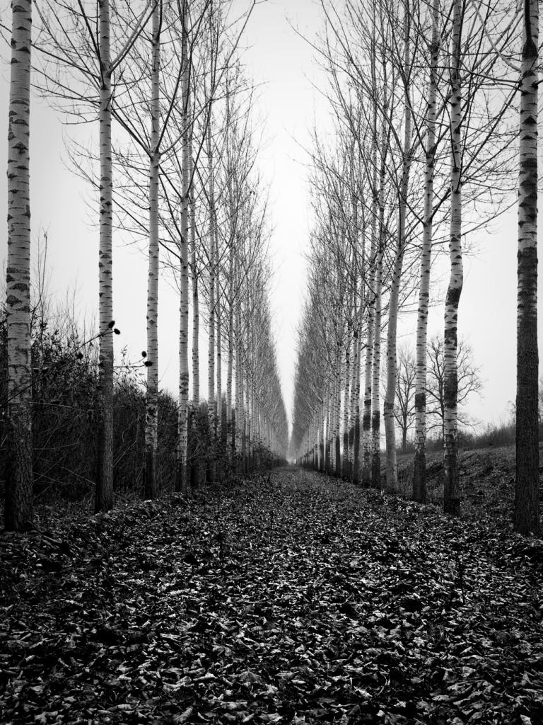 Naziv: beskraj_zps67eb43ec.JPG, pregleda: 142, veličina: 227,3 KB