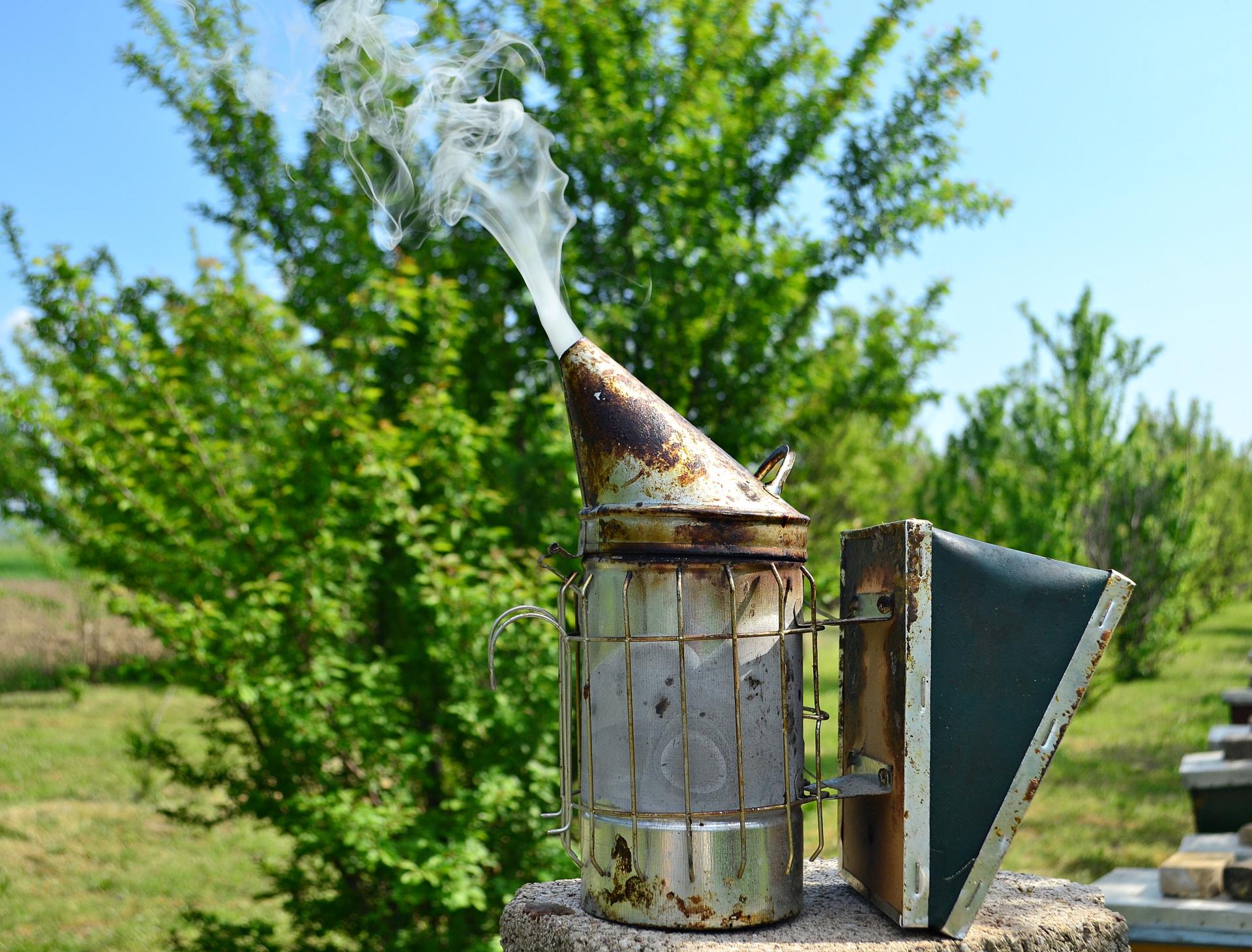 Naziv: DSC_0615 ....jpg, pregleda: 163, veličina: 375,3 KB