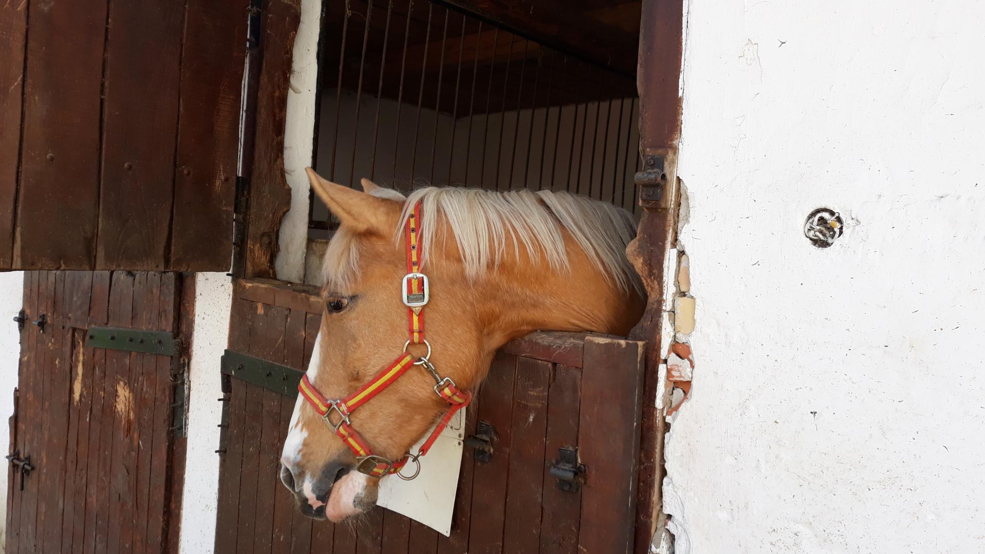 Naziv: 20180421_103544.jpg, pregleda: 175, veličina: 212,2 KB