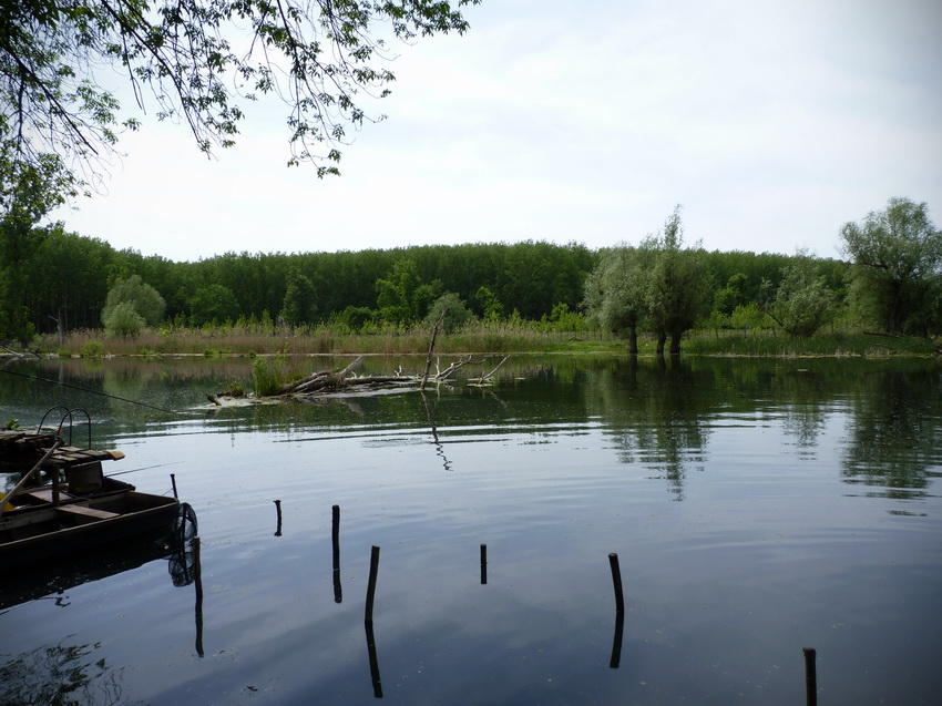 Naziv: P1290505.JPG, pregleda: 160, veličina: 198,7 KB