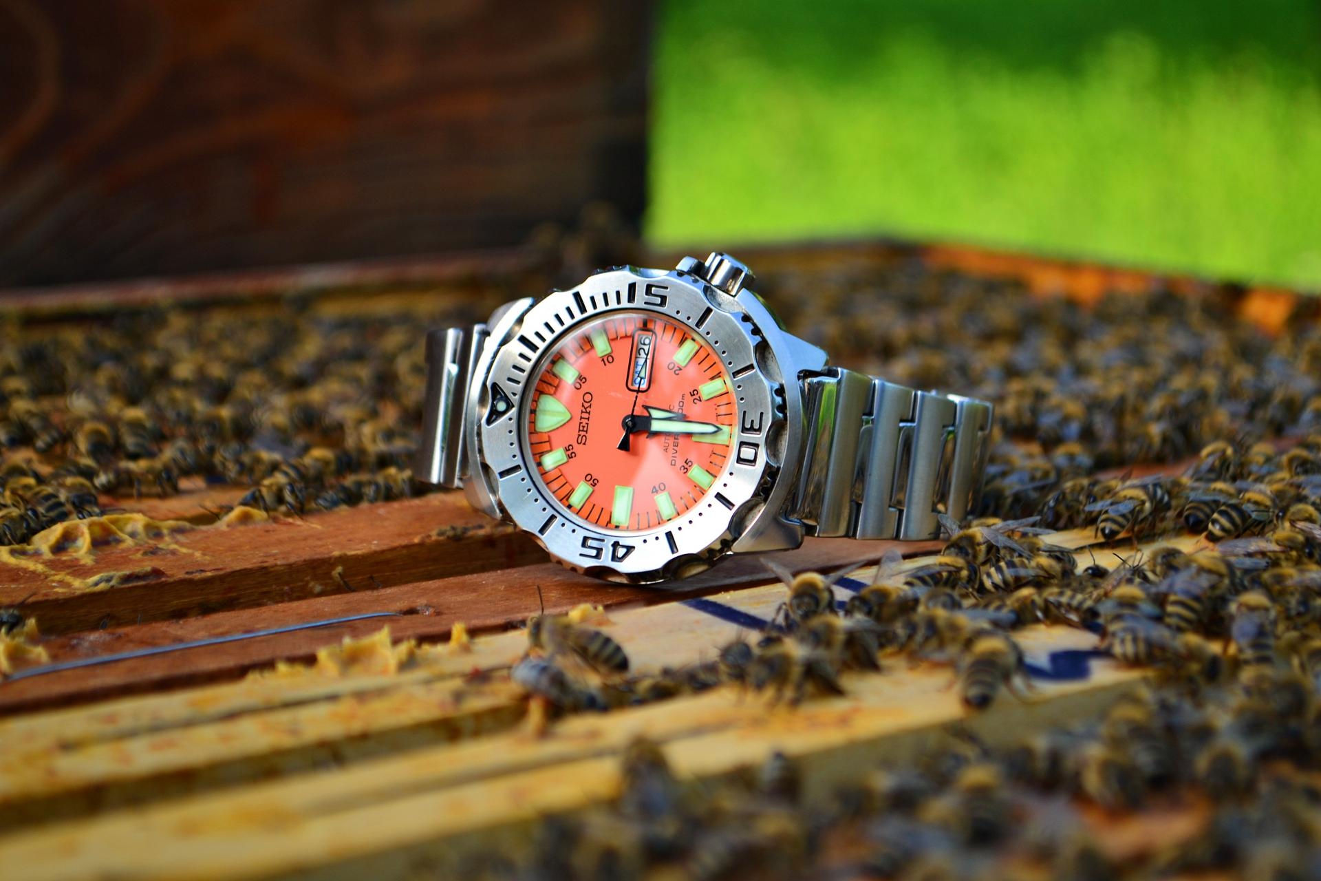 Naziv: DSC_0545 ....jpg, pregleda: 258, veličina: 210,8 KB