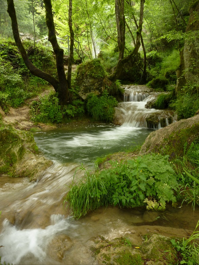 Naziv: 35486505_10156461738983535_628117943175086080_o.jpg, pregleda: 170, veličina: 331,5 KB