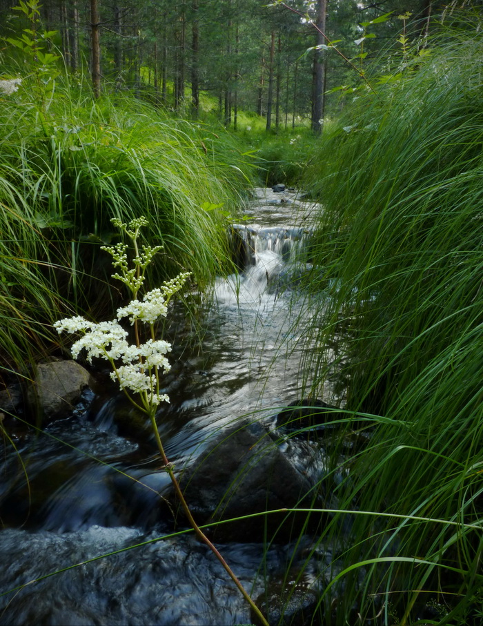Naziv: P1300721_2.JPG, pregleda: 262, veličina: 343,2 KB