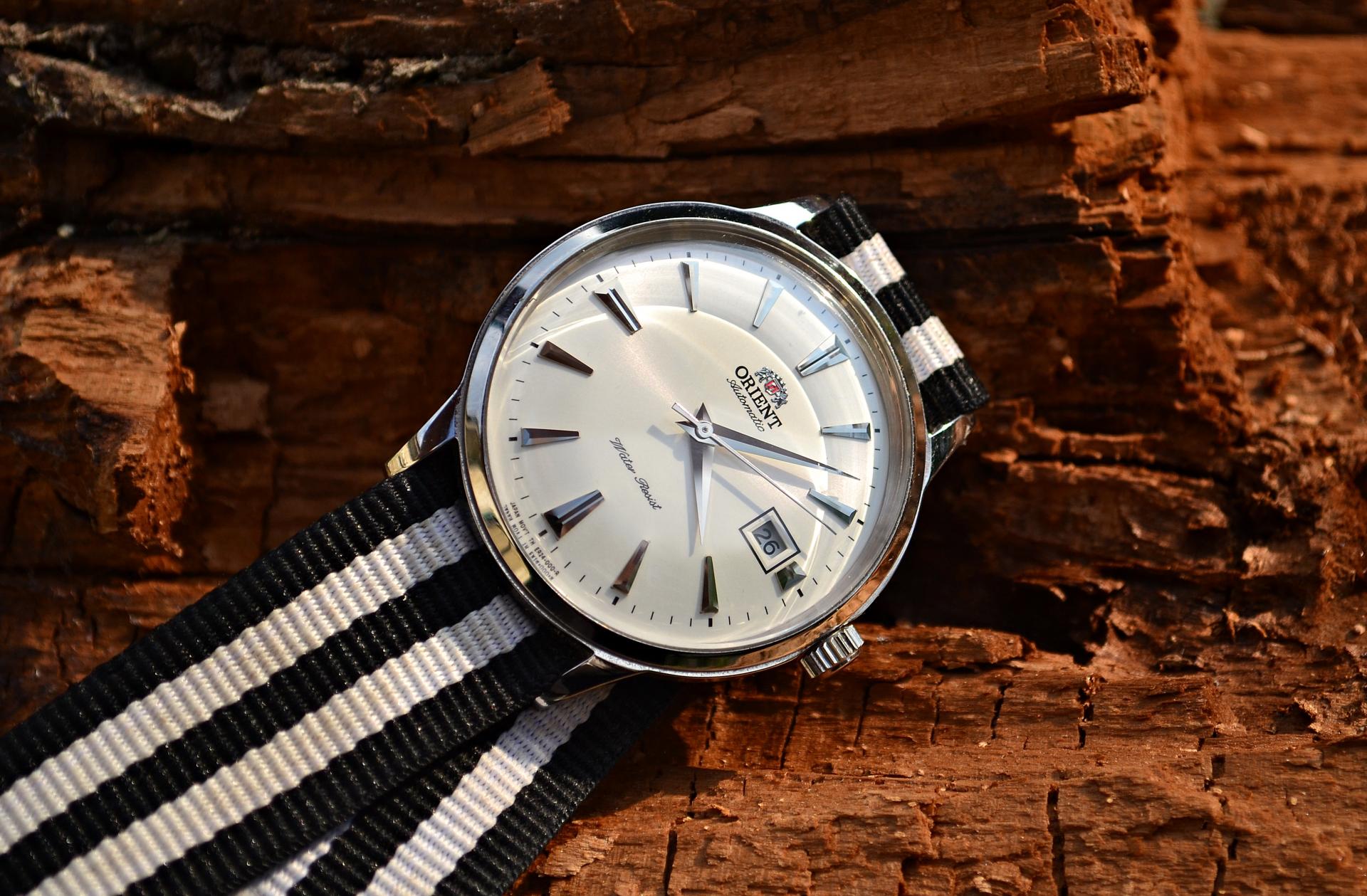 Naziv: DSC_0453 ....jpg, pregleda: 329, veličina: 318,6 KB