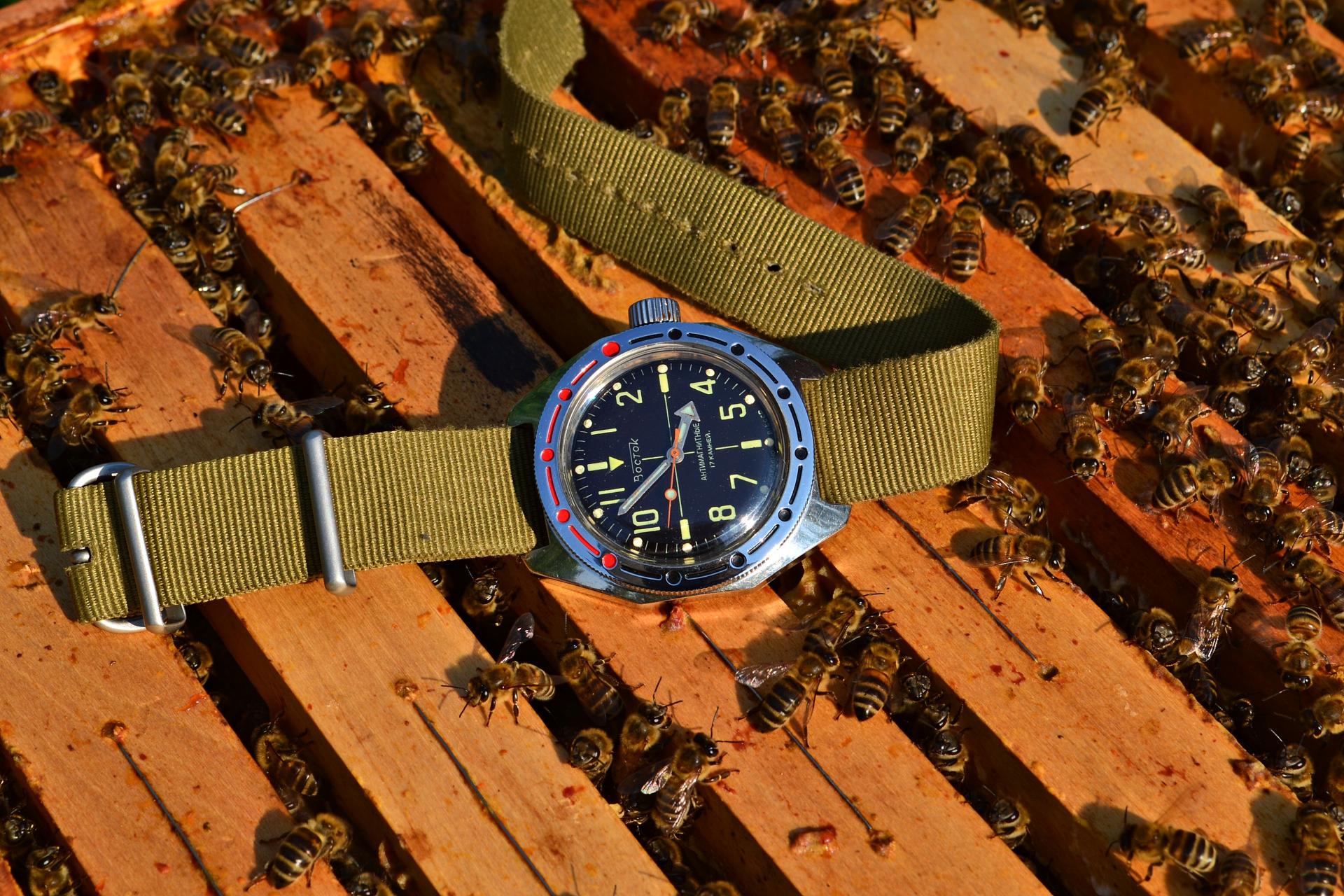 Naziv: DSC_0816 ....jpg, pregleda: 211, veličina: 439,8 KB