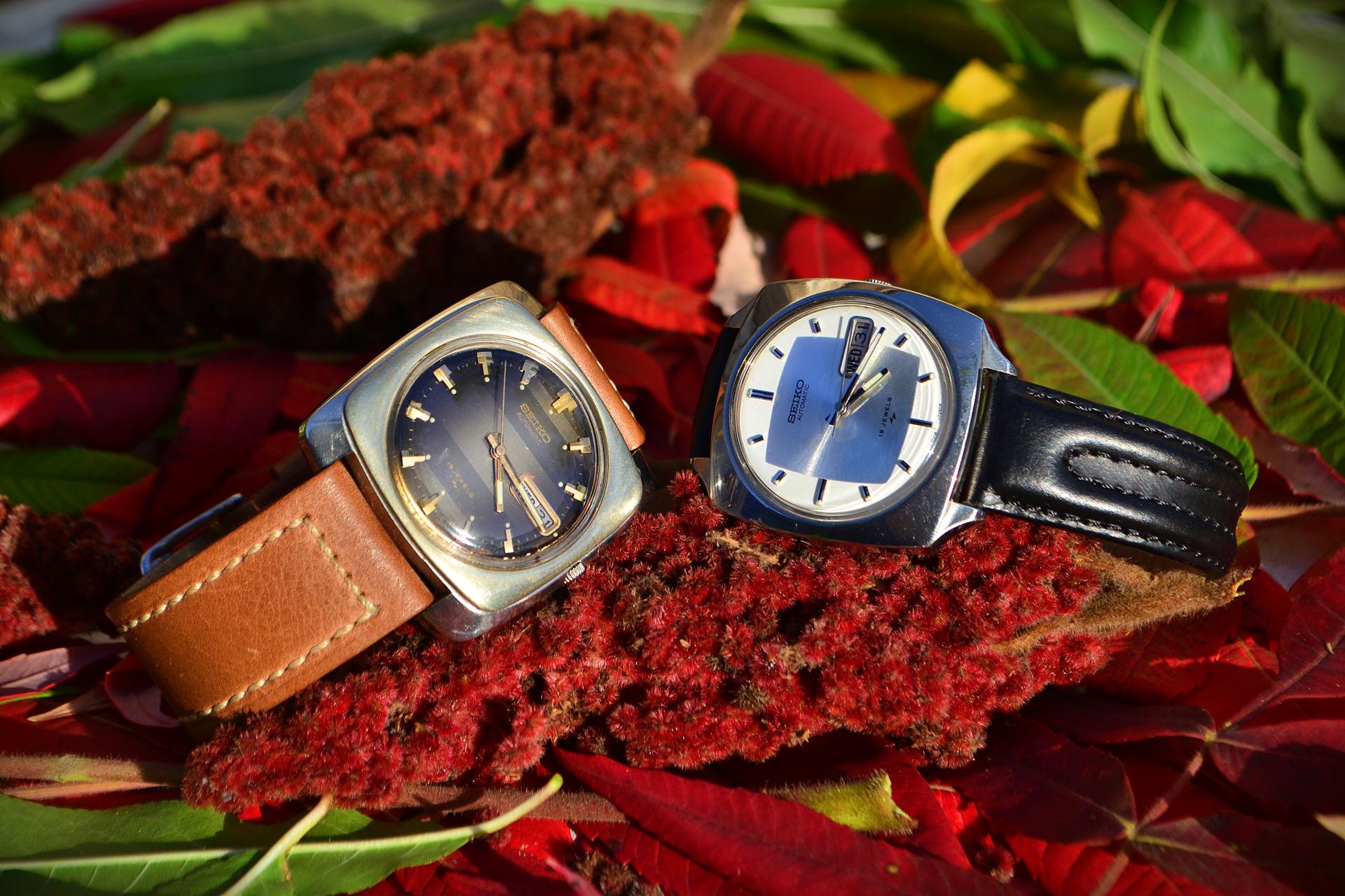 Naziv: DSC_1355 ....jpg, pregleda: 191, veličina: 327,7 KB