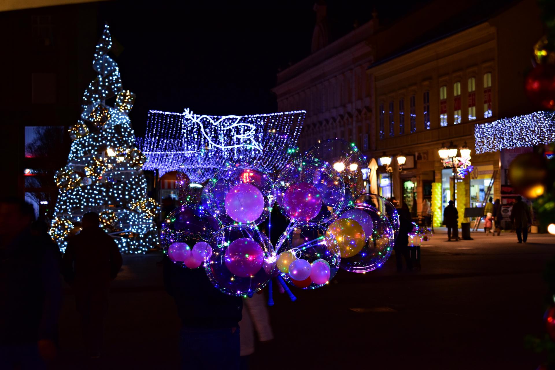 Naziv: DSC_0353 ....jpg, pregleda: 144, veličina: 281,4 KB