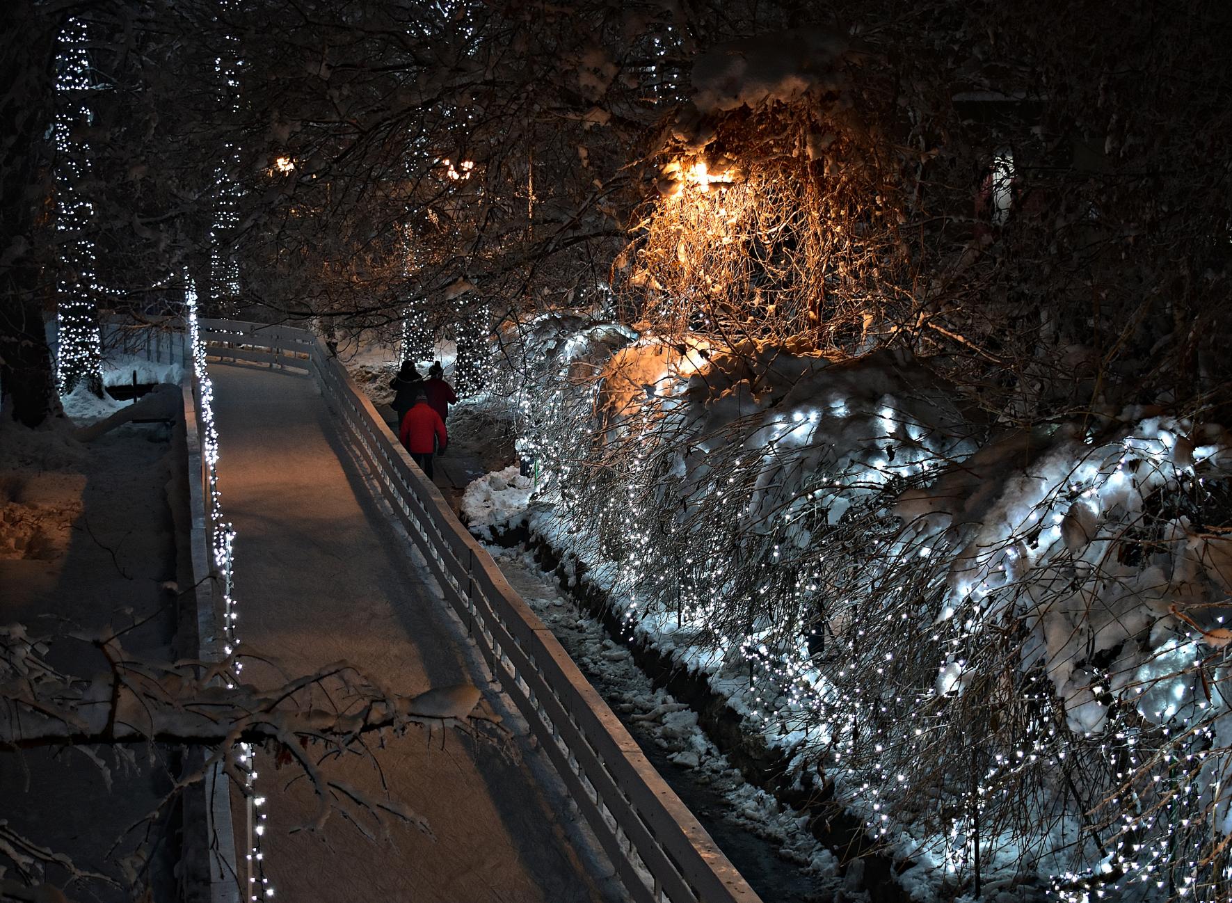 Naziv: DSC_0468 ....jpg, pregleda: 193, veličina: 499,9 KB