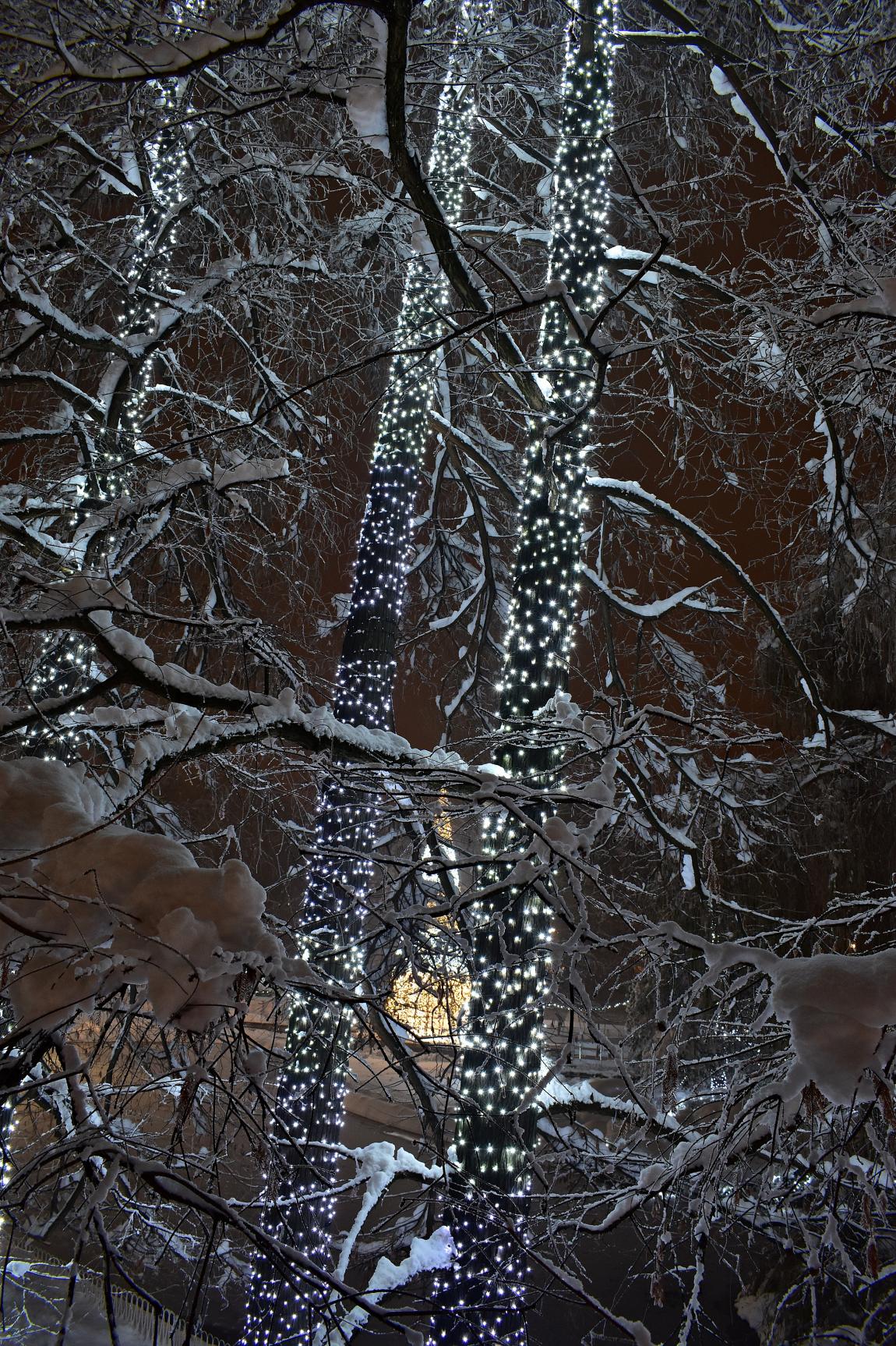 Naziv: DSC_0476 ....jpg, pregleda: 193, veličina: 570,8 KB