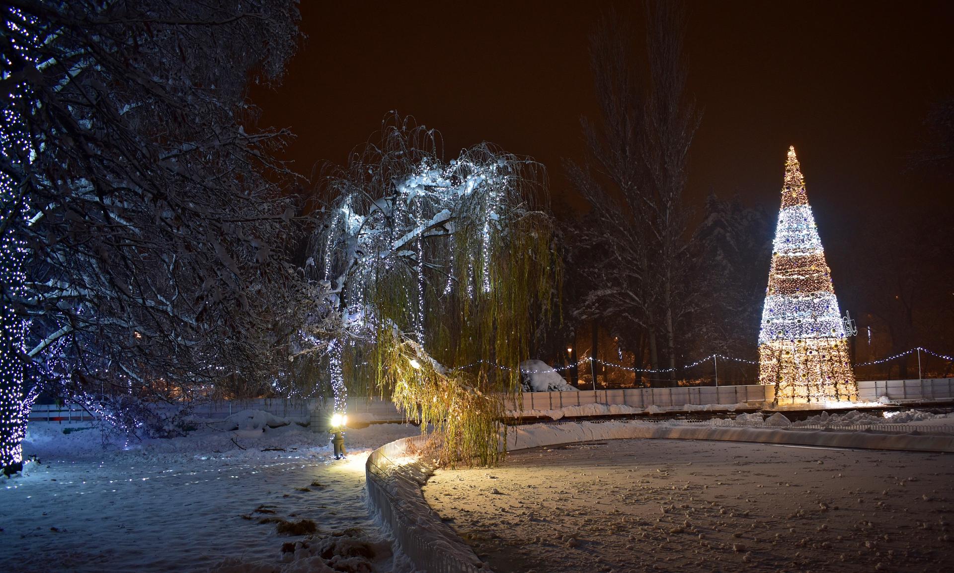 Naziv: DSC_0482 ...,,.jpg, pregleda: 176, veličina: 386,9 KB