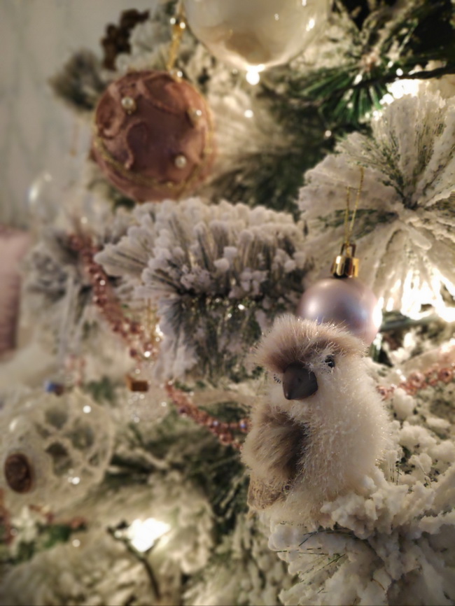 Naziv: IMG_20181231_172911.jpg, pregleda: 215, veličina: 152,2 KB