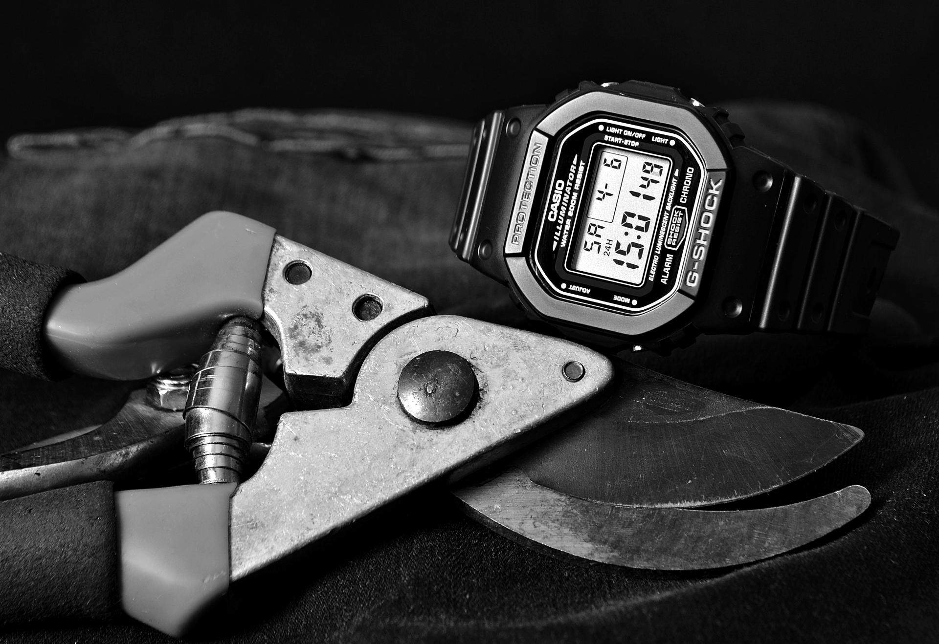 Naziv: DSC_1604 ....jpg, pregleda: 255, veličina: 277,4 KB