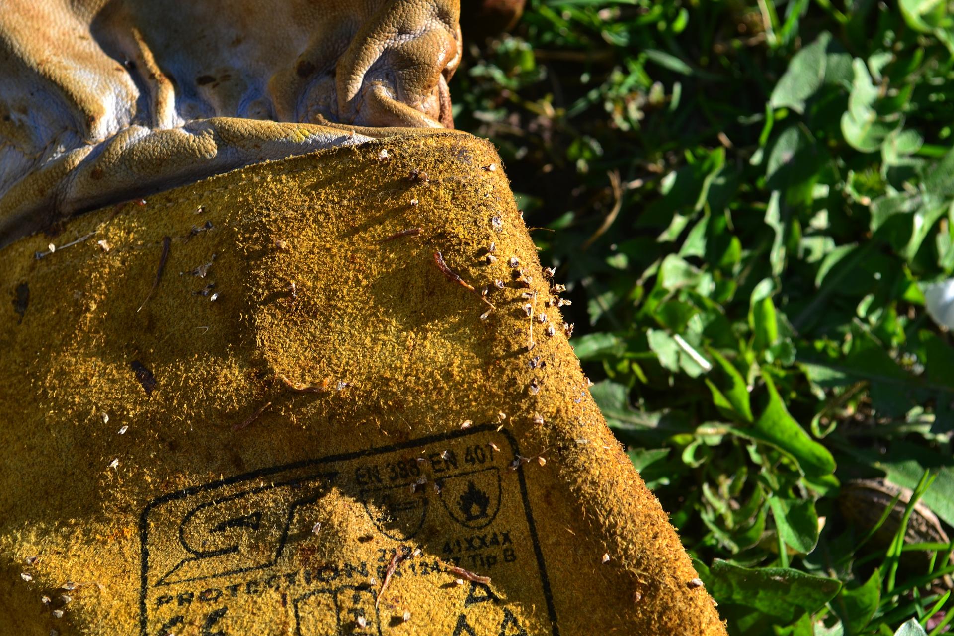 Naziv: DSC_0124 ....jpg, pregleda: 194, veličina: 450,2 KB