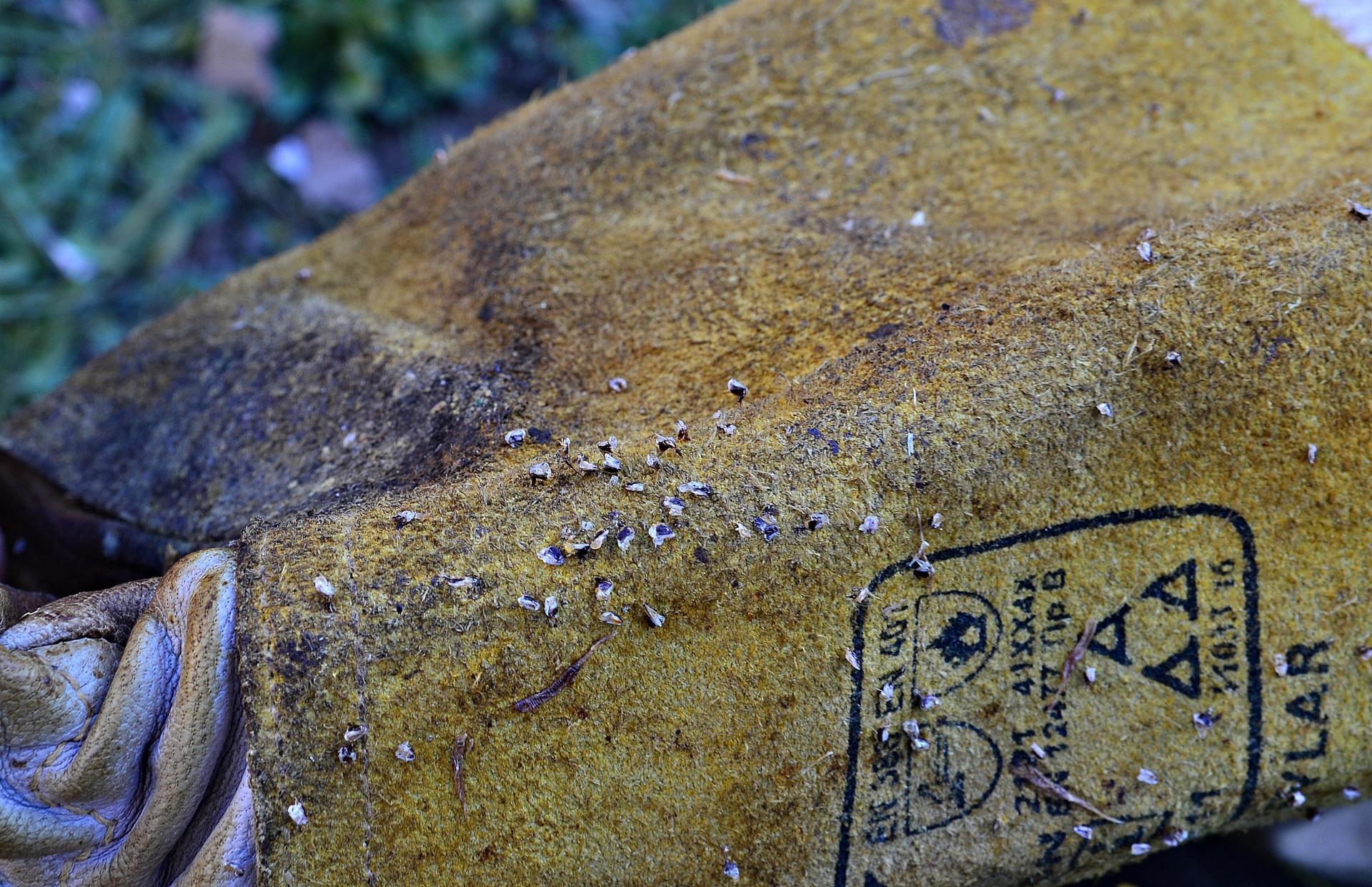 Naziv: DSC_0136 ....jpg, pregleda: 194, veličina: 480,8 KB