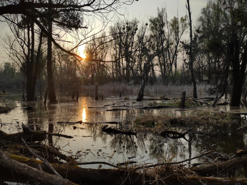 Naziv: IMG_20200321_170343_2.jpg, pregleda: 143, veličina: 264,5 KB