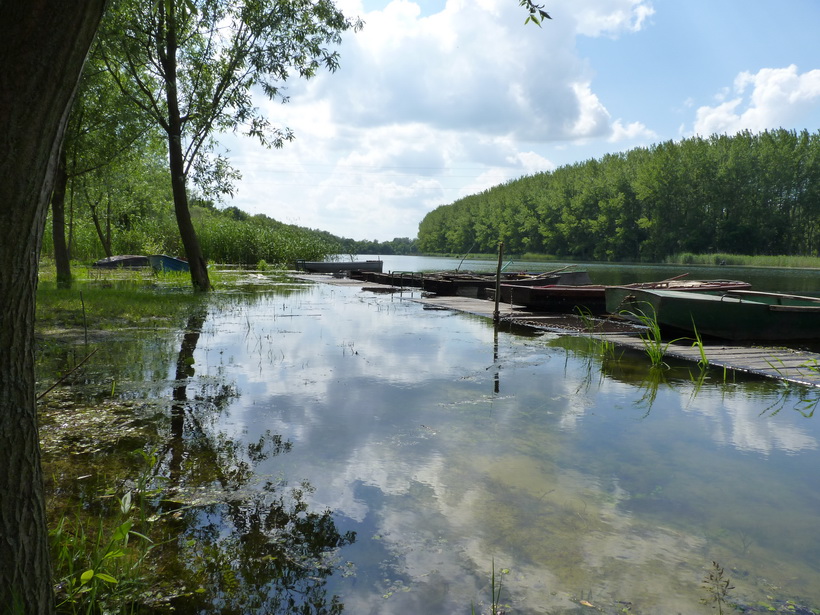 Naziv: P1020937.JPG, pregleda: 142, veličina: 236,0 KB