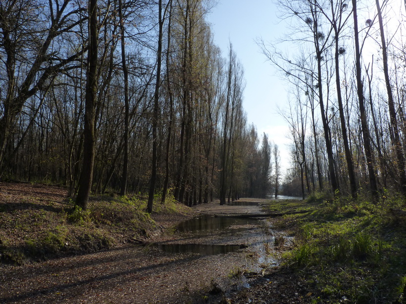 Naziv: P1060494.JPG, pregleda: 144, veličina: 317,8 KB