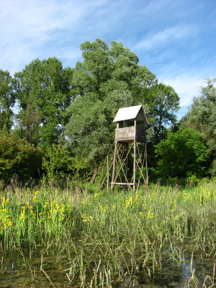 Naziv: Slika 010.jpg, pregleda: 141, veličina: 383,2 KB