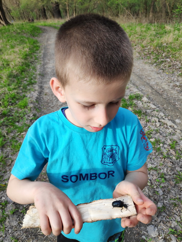 Naziv: IMG_20190407_173219.jpg, pregleda: 256, veličina: 209,3 KB