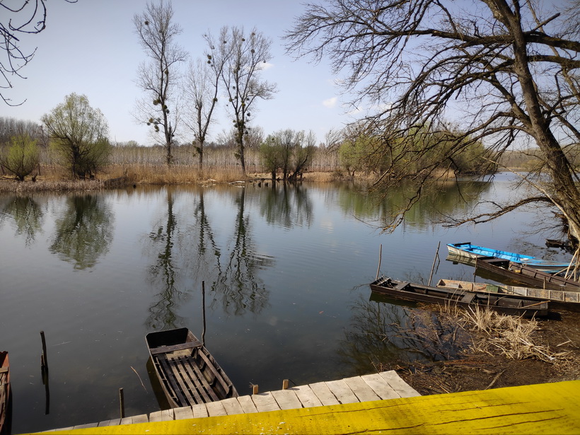 Naziv: IMG_20200328_135106_1.jpg, pregleda: 227, veličina: 242,5 KB